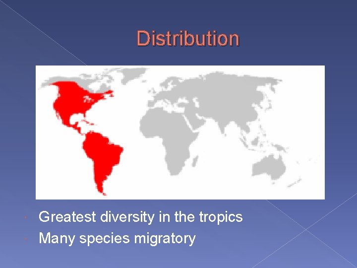 Distribution Greatest diversity in the tropics Many species migratory 