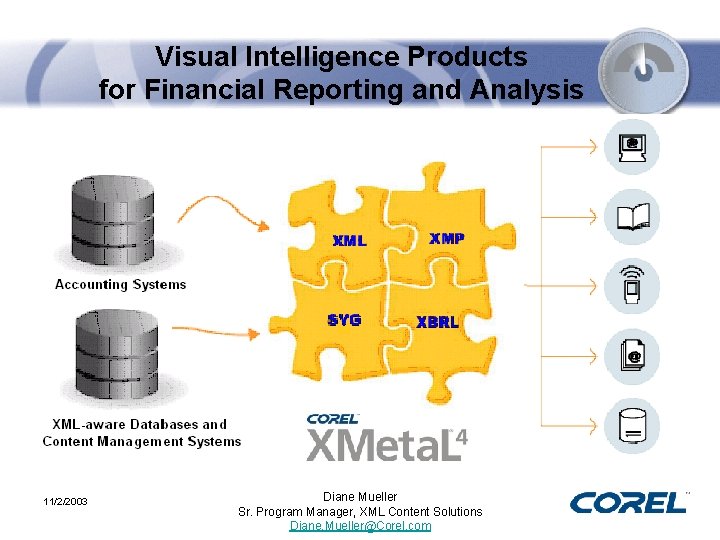 Visual Intelligence Products for Financial Reporting and Analysis 11/2/2003 Diane Mueller Sr. Program Manager,
