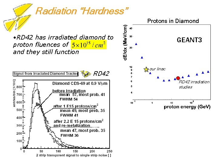 Radiation “Hardness” Protons in Diamond • RD 42 has irradiated diamond to proton fluences