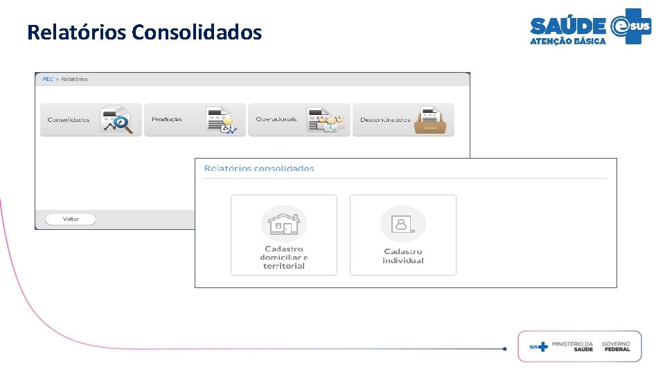 Relatórios Consolidados 