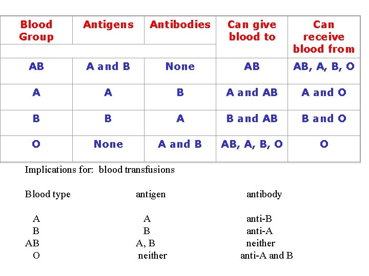 Blood Group Antigens Antibodies Can give blood to Can receive blood from AB A