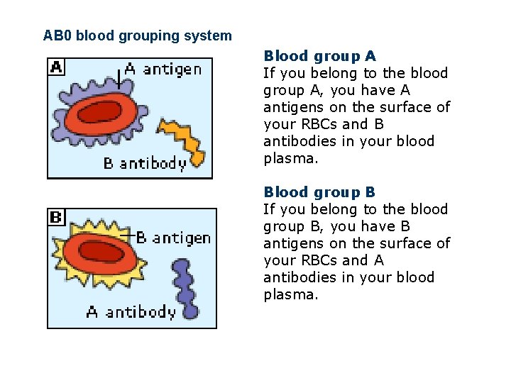 AB 0 blood grouping system Blood group A If you belong to the blood