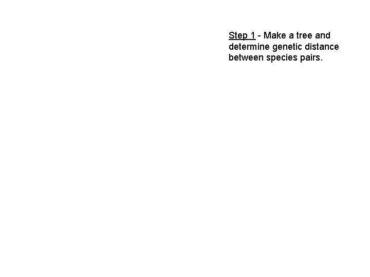 Step 1 - Make a tree and determine genetic distance between species pairs. 