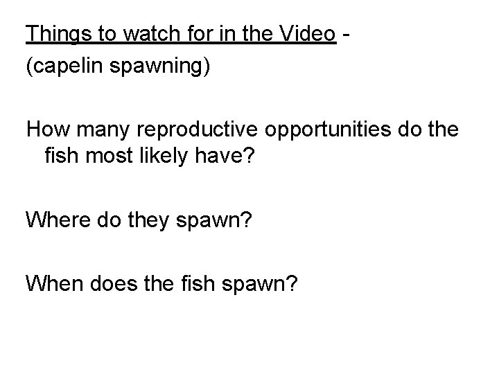 Things to watch for in the Video - (capelin spawning) How many reproductive opportunities