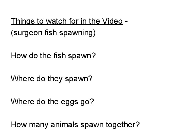 Things to watch for in the Video - (surgeon fish spawning) How do the