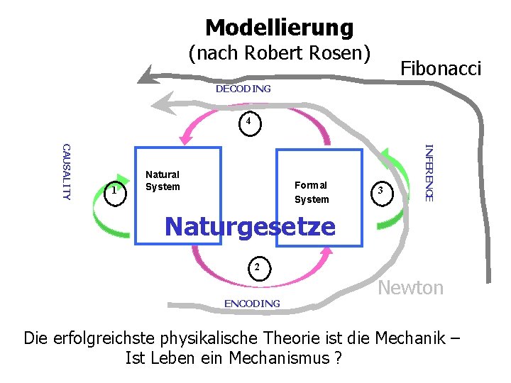 Modellierung (nach Robert Rosen) Fibonacci DECODING 4 Formal System 3 INFERENCE CAUSALITY 1 Natural