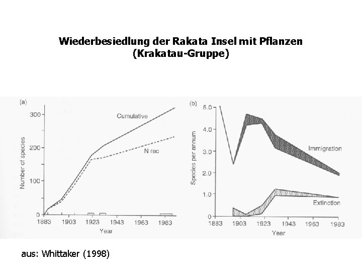 Wiederbesiedlung der Rakata Insel mit Pflanzen (Krakatau-Gruppe) aus: Whittaker (1998) 