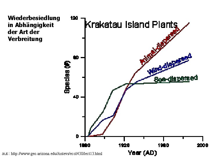 Wiederbesiedlung in Abhängigkeit der Art der Verbreitung aus: http: //www. geo. arizona. edu/Antevs/ecol 438/lect