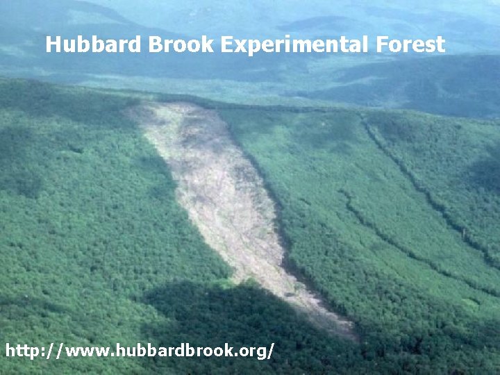 Hubbard Brook Experimental Forest http: //www. hubbardbrook. org/ 