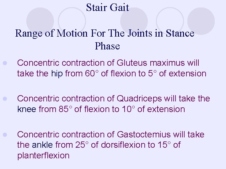 Stair Gait Range of Motion For The Joints in Stance Phase l Concentric contraction