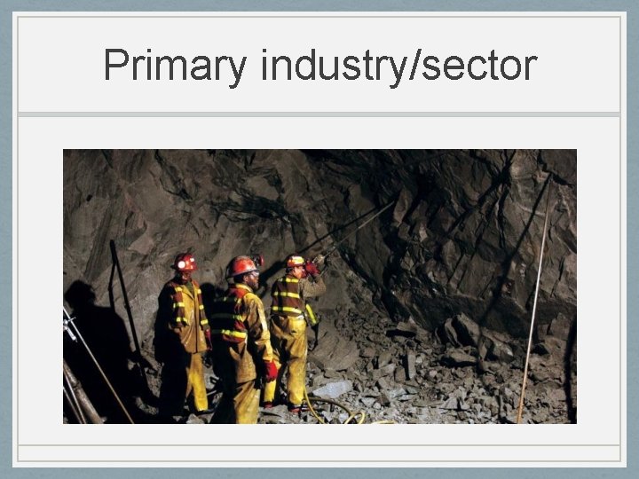 Primary industry/sector 