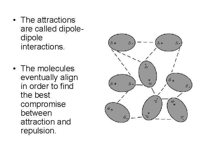  • The attractions are called dipole interactions. • The molecules eventually align in