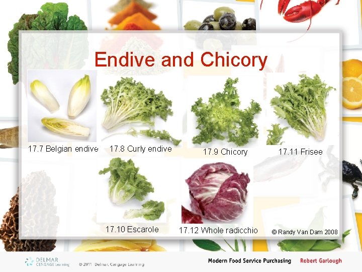 Endive and Chicory 17. 7 Belgian endive 17. 8 Curly endive 17. 10 Escarole
