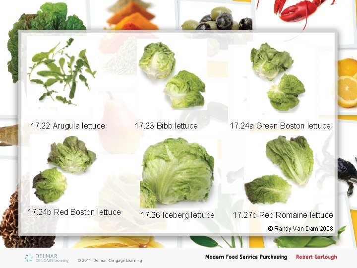 17. 22 Arugula lettuce 17. 24 b Red Boston lettuce 17. 23 Bibb lettuce