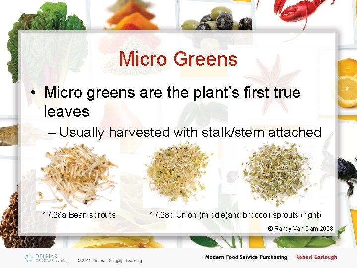 Micro Greens • Micro greens are the plant’s first true leaves – Usually harvested