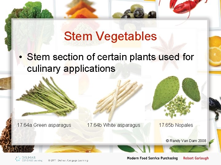 Stem Vegetables • Stem section of certain plants used for culinary applications 17. 64
