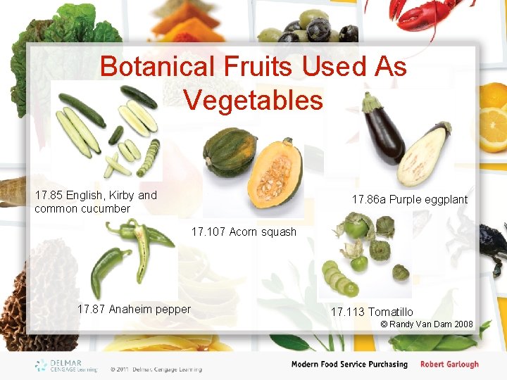 Botanical Fruits Used As Vegetables 17. 85 English, Kirby and common cucumber 17. 86