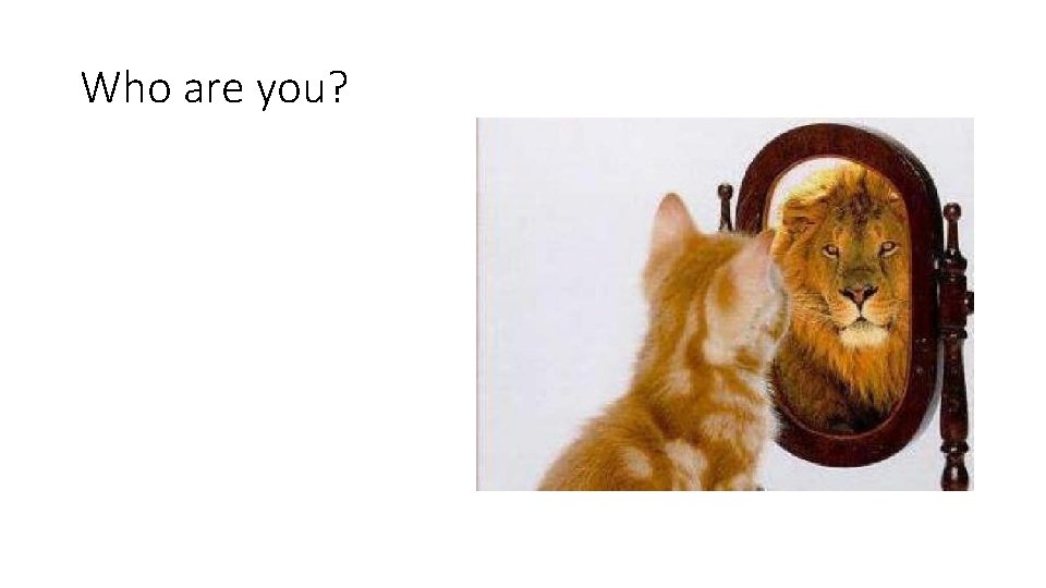 Who are you? 