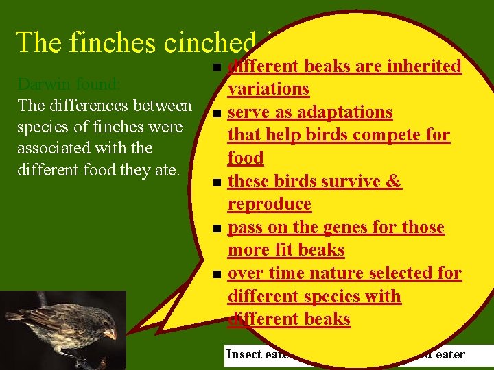 The finches cinched it! Darwin found: The differences between species of finches were associated