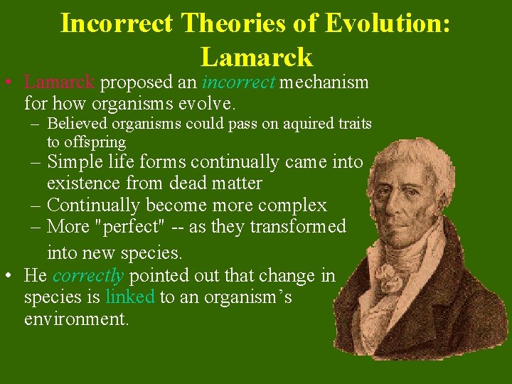 Incorrect Theories of Evolution: Lamarck • Lamarck proposed an incorrect mechanism for how organisms