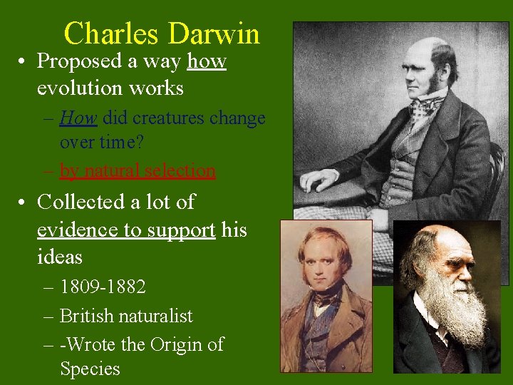 Charles Darwin • Proposed a way how evolution works – How did creatures change