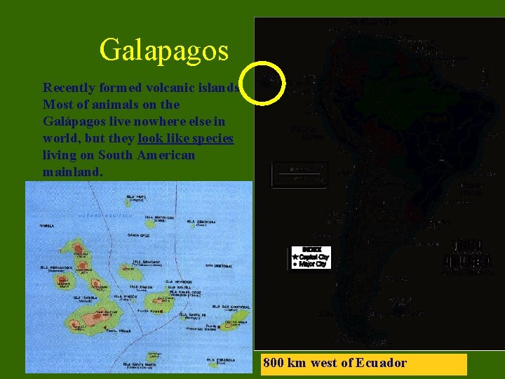 Galapagos Recently formed volcanic islands. Most of animals on the Galápagos live nowhere else