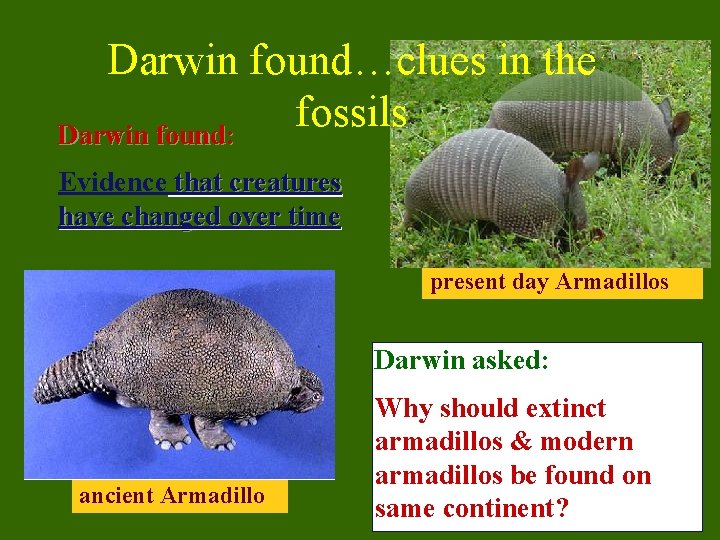 Darwin found…clues in the fossils Darwin found: Evidence that creatures have changed over time
