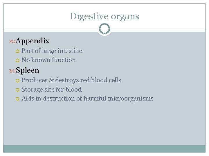 Digestive organs Appendix Part of large intestine No known function Spleen Produces & destroys