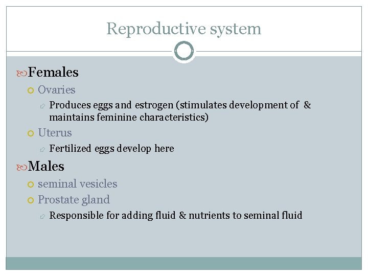 Reproductive system Females Ovaries Produces eggs and estrogen (stimulates development of & maintains feminine