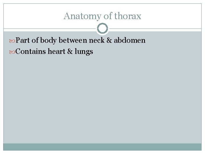 Anatomy of thorax Part of body between neck & abdomen Contains heart & lungs