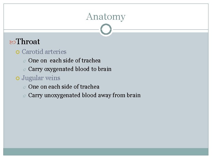 Anatomy Throat Carotid arteries One on each side of trachea Carry oxygenated blood to