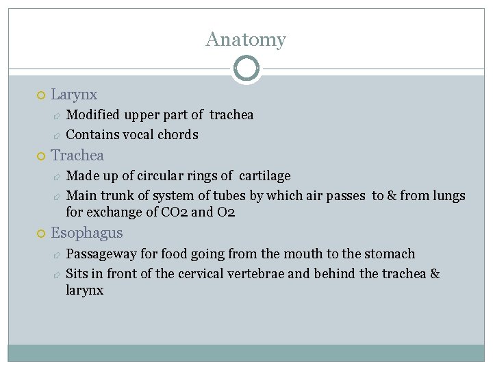 Anatomy Larynx Modified upper part of trachea Contains vocal chords Trachea Made up of