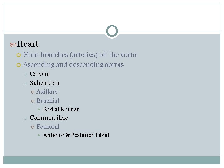  Heart Main branches (arteries) off the aorta Ascending and descending aortas Carotid Subclavian