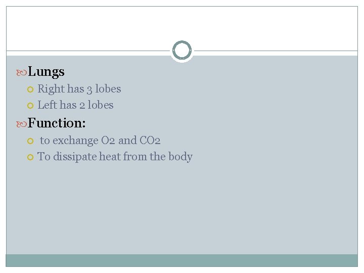  Lungs Right has 3 lobes Left has 2 lobes Function: to exchange O