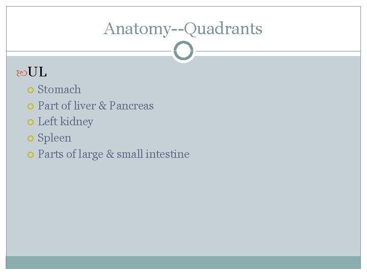 Anatomy--Quadrants UL Stomach Part of liver & Pancreas Left kidney Spleen Parts of large