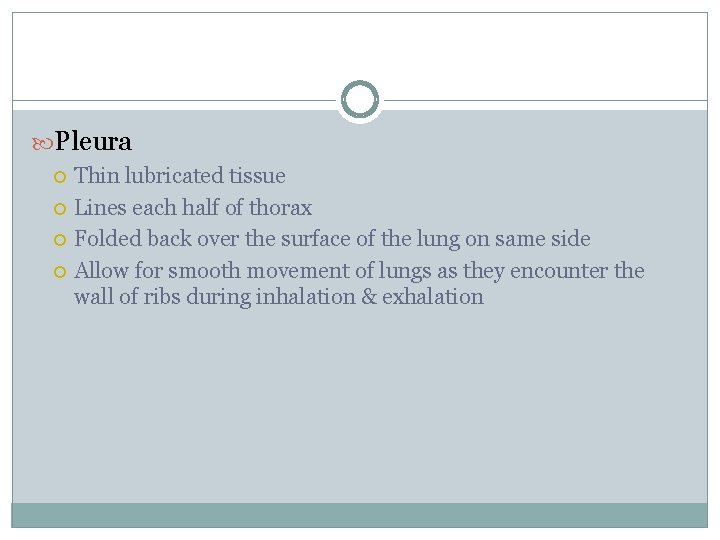  Pleura Thin lubricated tissue Lines each half of thorax Folded back over the