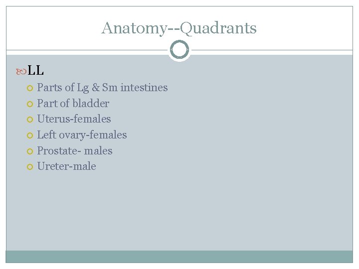 Anatomy--Quadrants LL Parts of Lg & Sm intestines Part of bladder Uterus-females Left ovary-females