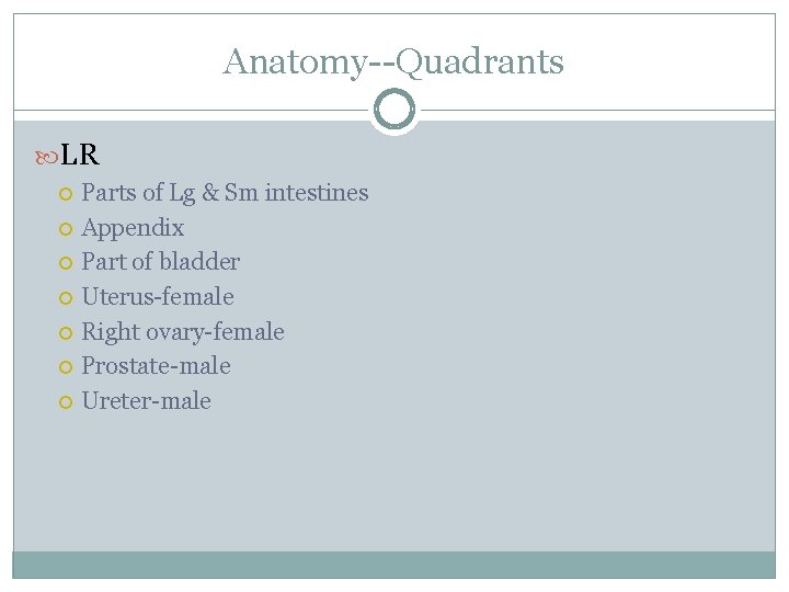 Anatomy--Quadrants LR Parts of Lg & Sm intestines Appendix Part of bladder Uterus-female Right