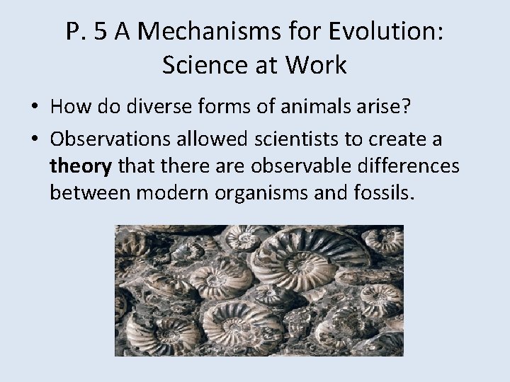 P. 5 A Mechanisms for Evolution: Science at Work • How do diverse forms