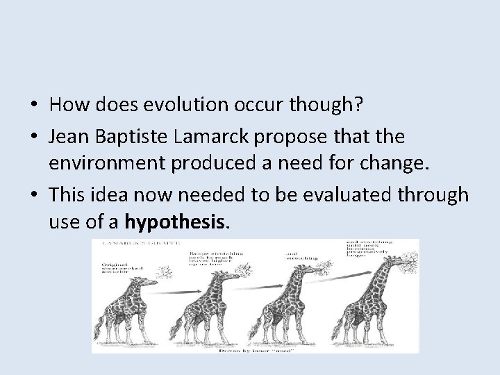  • How does evolution occur though? • Jean Baptiste Lamarck propose that the