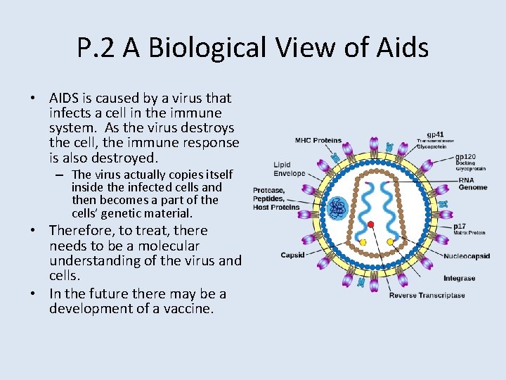 P. 2 A Biological View of Aids • AIDS is caused by a virus