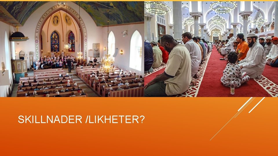 SKILLNADER /LIKHETER? 