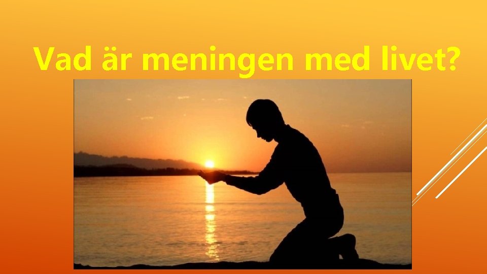 Vad är meningen med livet? 