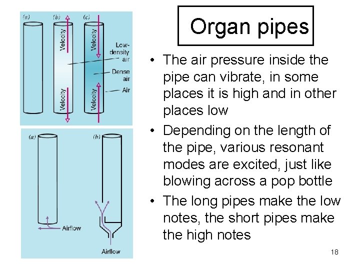 Organ pipes • The air pressure inside the pipe can vibrate, in some places