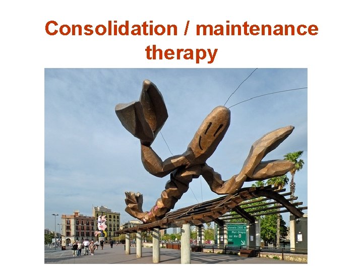 Consolidation / maintenance therapy 