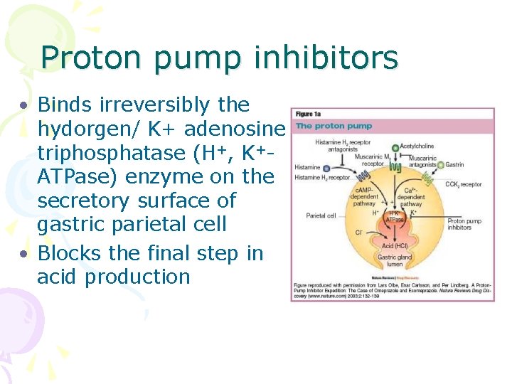 Proton pump inhibitors • Binds irreversibly the hydorgen/ K+ adenosine triphosphatase (H+, K+ATPase) enzyme