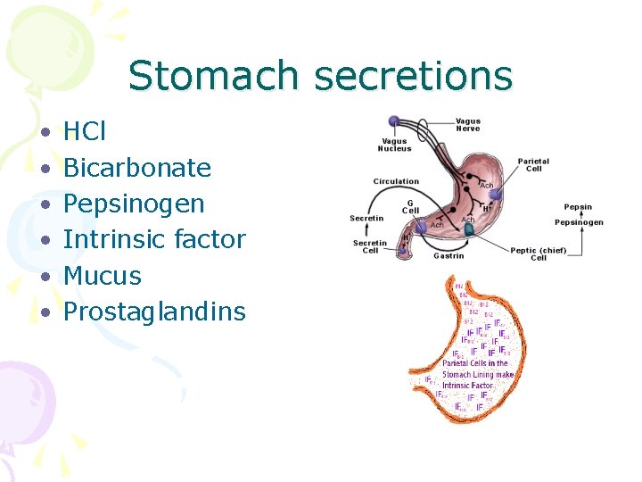 Stomach secretions • • • HCl Bicarbonate Pepsinogen Intrinsic factor Mucus Prostaglandins 