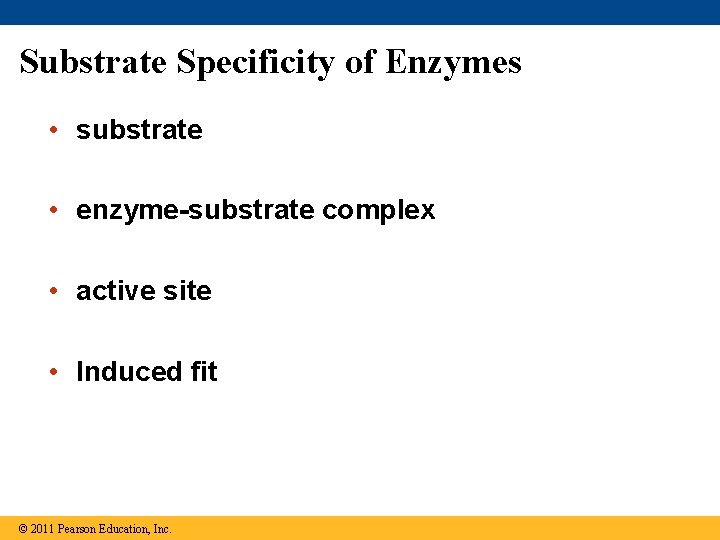 Substrate Specificity of Enzymes • substrate • enzyme-substrate complex • active site • Induced