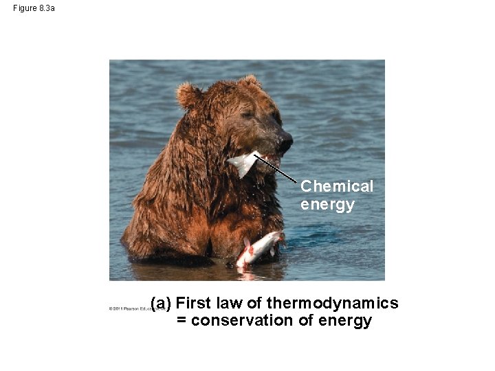 Figure 8. 3 a Chemical energy (a) First law of thermodynamics = conservation of