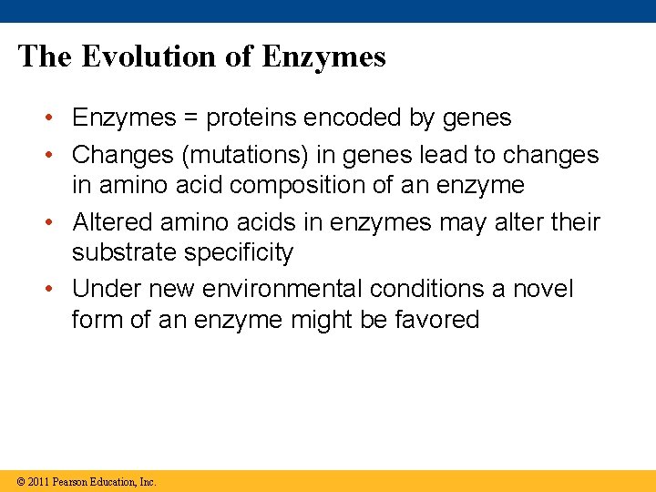 The Evolution of Enzymes • Enzymes = proteins encoded by genes • Changes (mutations)